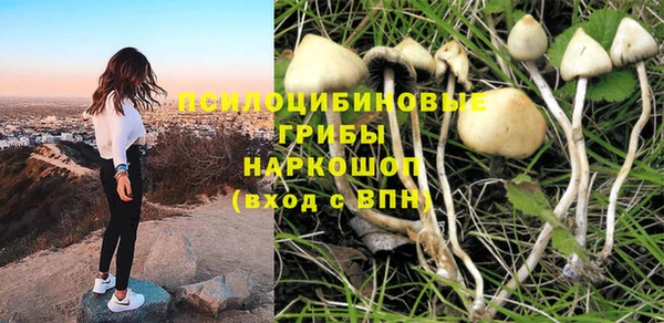стафф Армянск