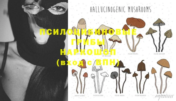 мдпв Арсеньев
