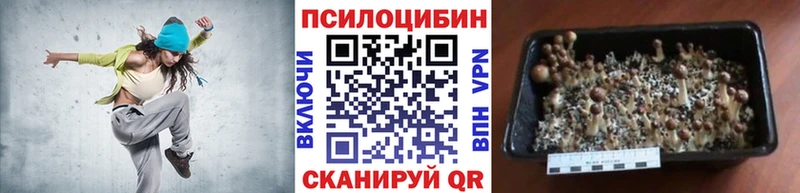 darknet телеграм  Осинники  Псилоцибиновые грибы мицелий 